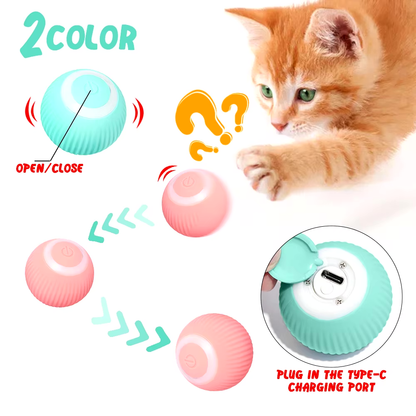 WhiskerPlay™ Ball Toy