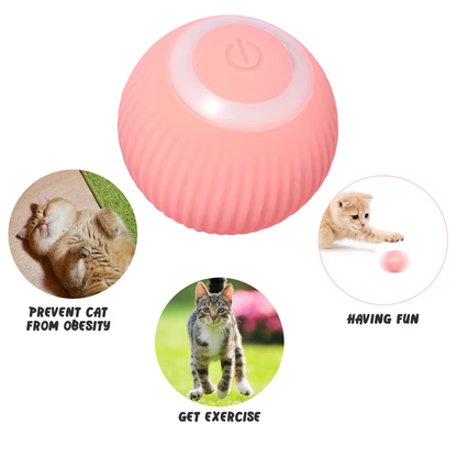 WhiskerPlay™ Ball Toy